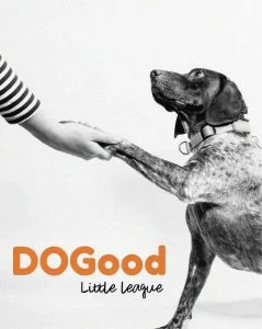 Dog good - little league - dog good - little league - dog good - little league - dog good - little league.