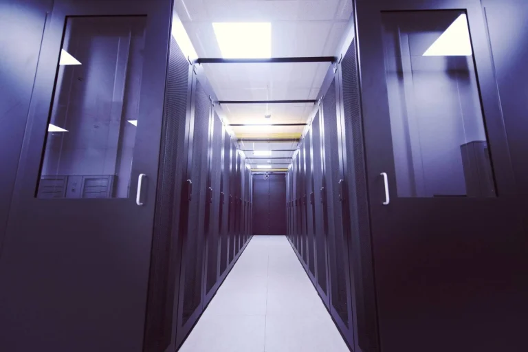 What is Website Hosting